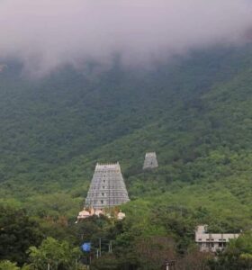 TIRUMALA NADAKA DAARI