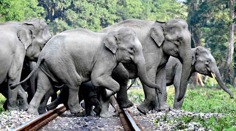 రైల్వే ట్రాక్ లు AI కి అనుసంధానం