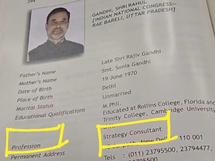 RAHUL GANDHI PROFESSION