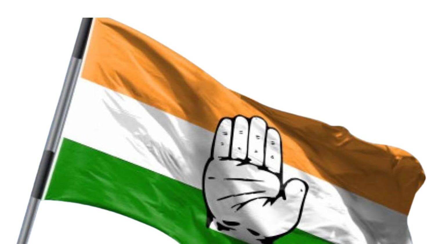 CONGRESS FLAG