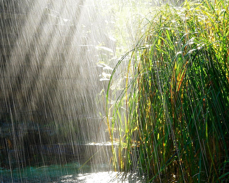 RAINS ALERT IN TELANGANA