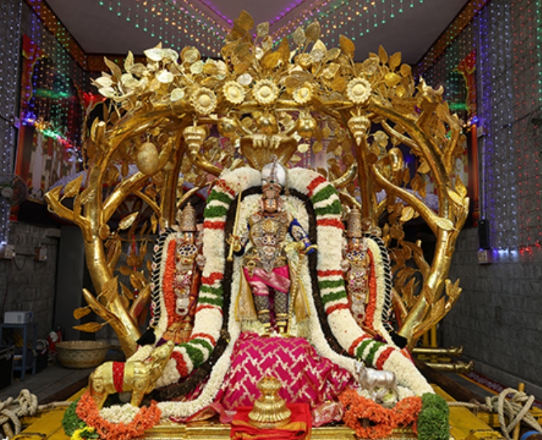 srivaari utsavaalu