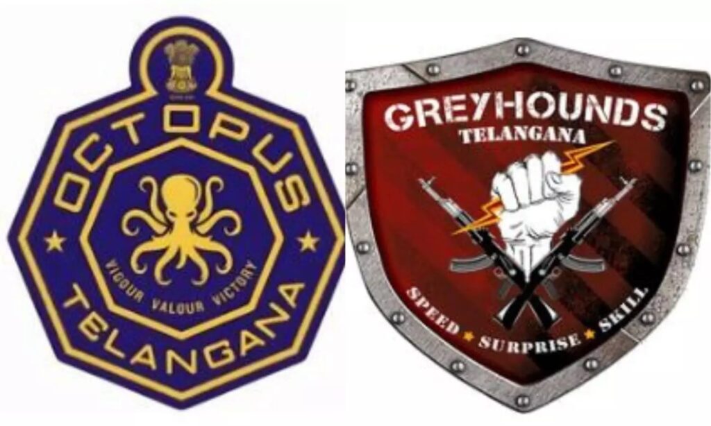 octopus and greyhounds