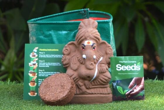 seed ganesha