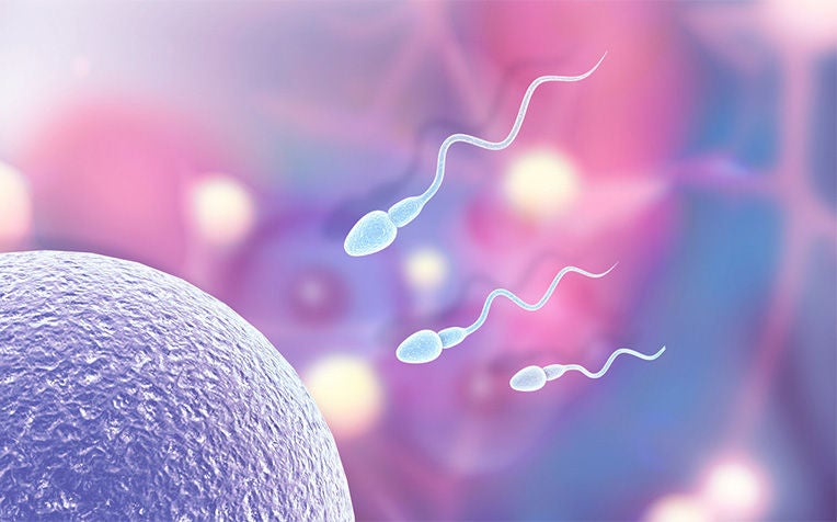 Fertility problem